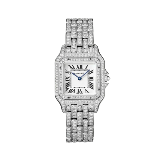 C Watch